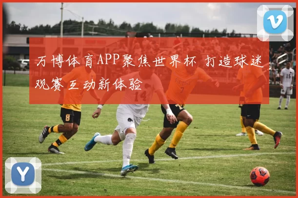 万博体育APP聚焦世界杯 打造球迷观赛互动新体验