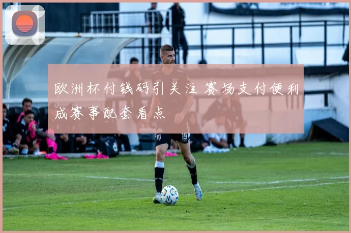 欧洲杯付钱码引关注 赛场支付便利成赛事配套看点