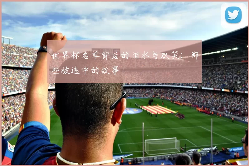 世界杯名单背后的泪水与欢笑:那些被选中的故事