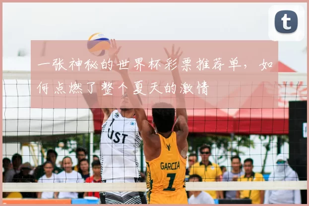一张神秘的世界杯彩票推荐单,如何点燃了整个夏天的激情