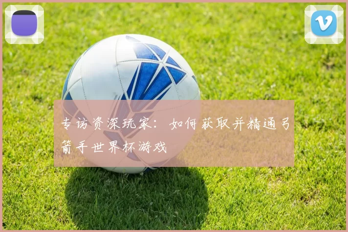 专访资深玩家:如何获取并精通弓箭手世界杯游戏