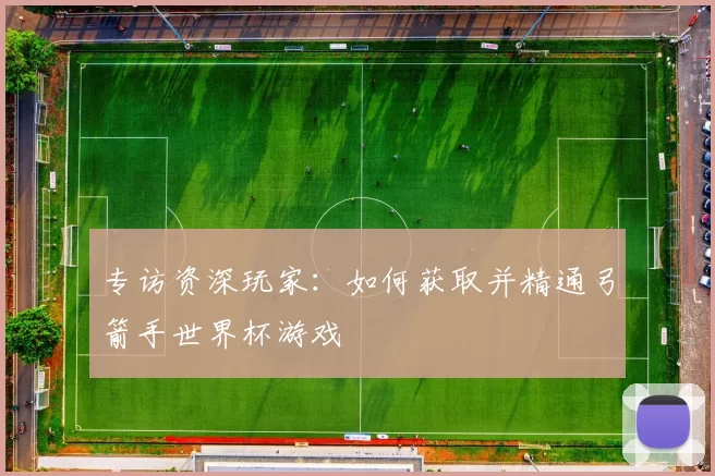 专访资深玩家:如何获取并精通弓箭手世界杯游戏