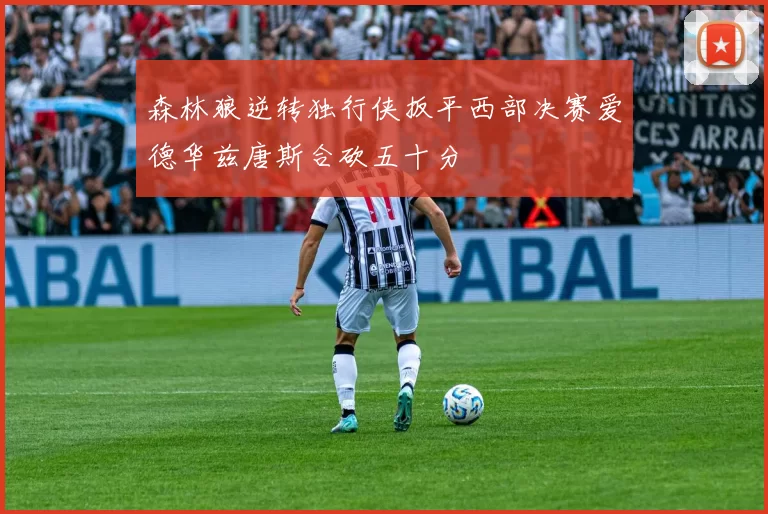 森林狼逆转独行侠扳平西部决赛爱德华兹唐斯合砍五十分