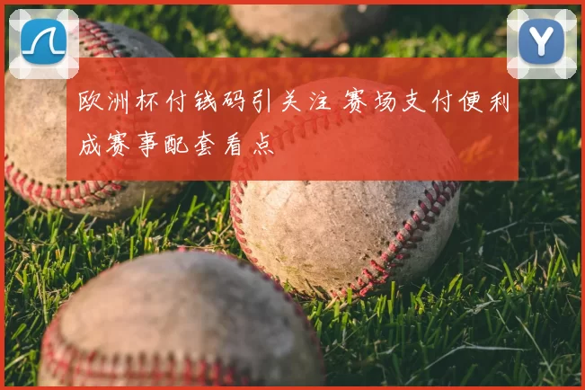 欧洲杯付钱码引关注 赛场支付便利成赛事配套看点