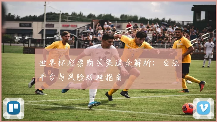 世界杯彩票购买渠道全解析:合法平台与风险规避指南