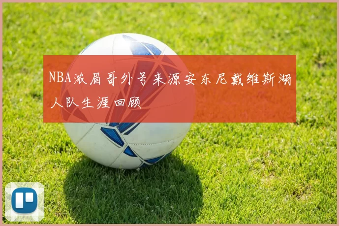 NBA浓眉哥外号来源安东尼戴维斯湖人队生涯回顾