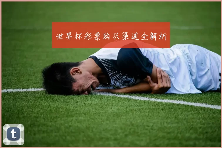 世界杯彩票购买渠道全解析