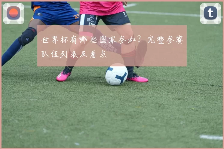 世界杯有哪些国家参加?完整参赛队伍列表及看点