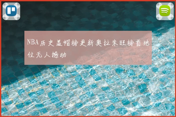 NBA历史盖帽榜更新奥拉朱旺榜首地位无人撼动